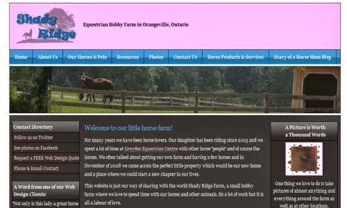 Equine Web Design Canada | 3489 NB-115, Dundas Parish, NB E4V 2C9, Canada | Phone: (506) 345-0915