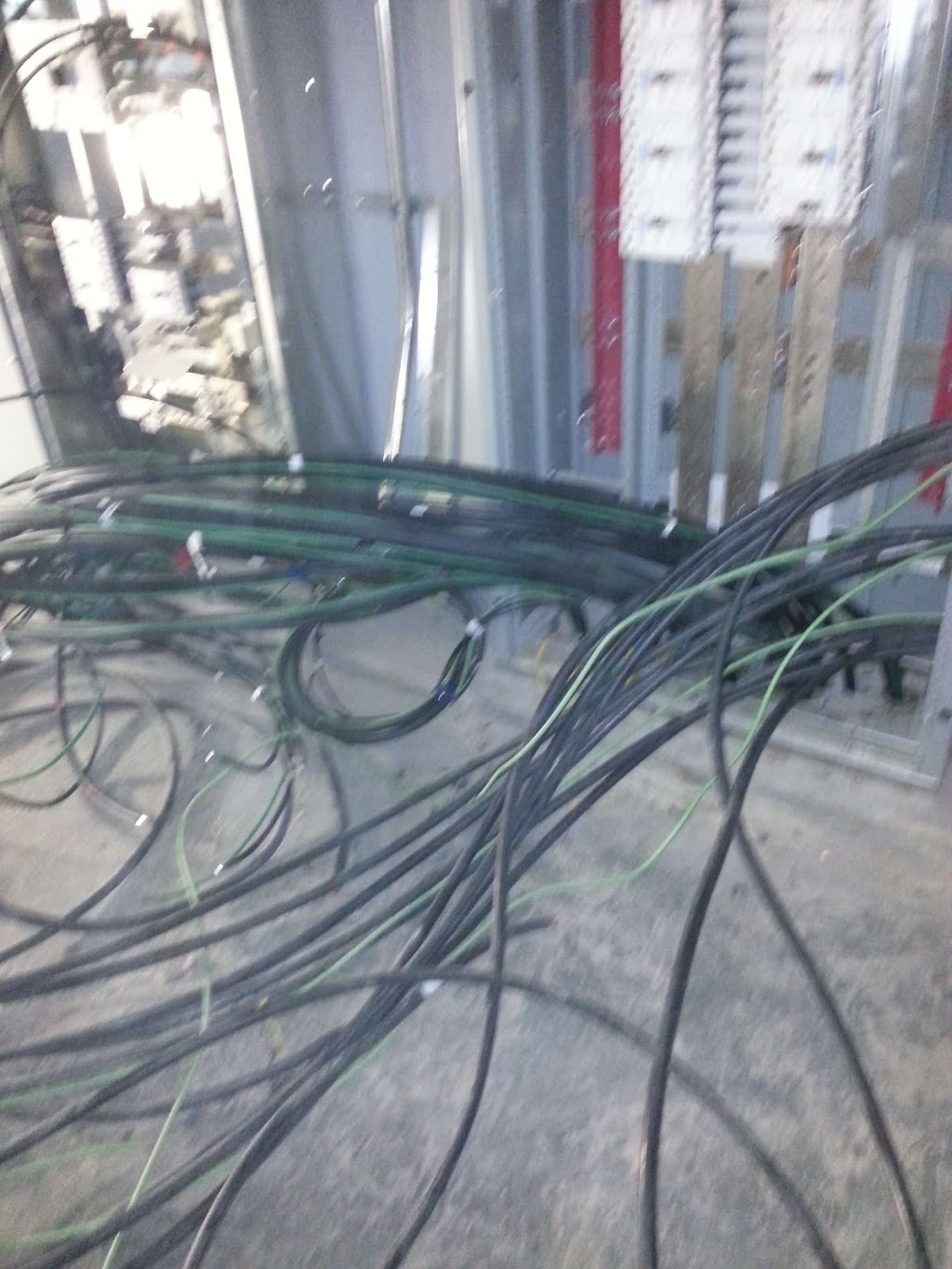BLUE WHALE ELECTRICAL LTD SURREY BC | 9309 134a St, Surrey, BC V3V 5T1, Canada | Phone: (778) 551-1800