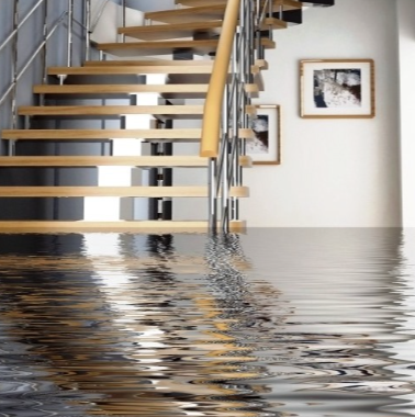 Ontario Public Adjusters | 1525 Point O Woods Rd, Mississauga, ON L5G 2X6, Canada | Phone: (416) 389-6762