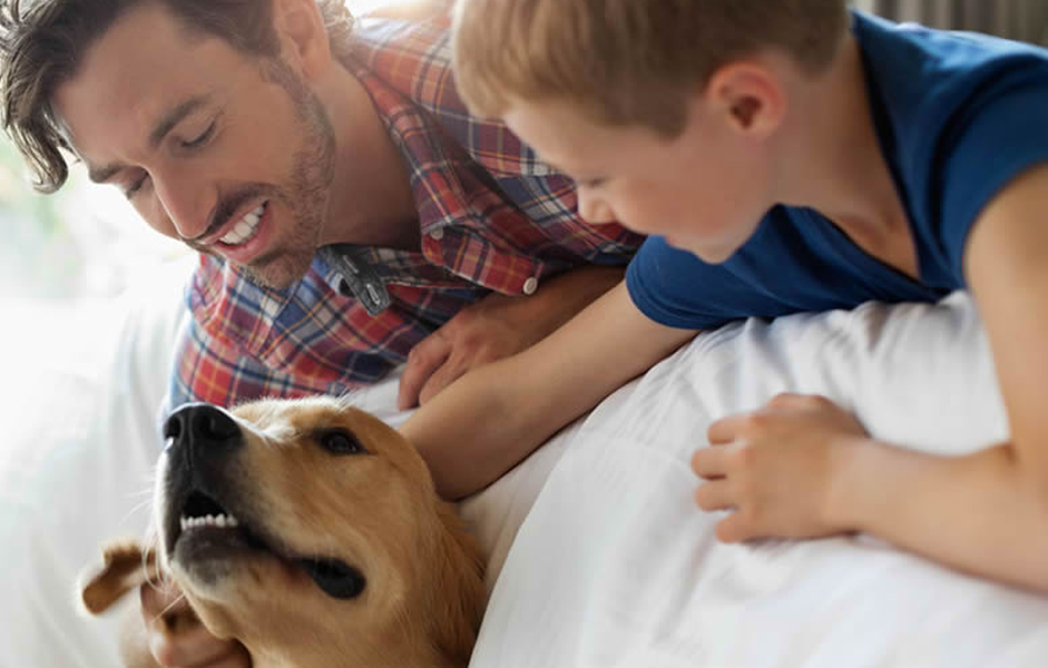 Rossland Animal Hospital | 575 Thornton Rd N, Oshawa, ON L1J 8L5, Canada | Phone: (905) 240-1119