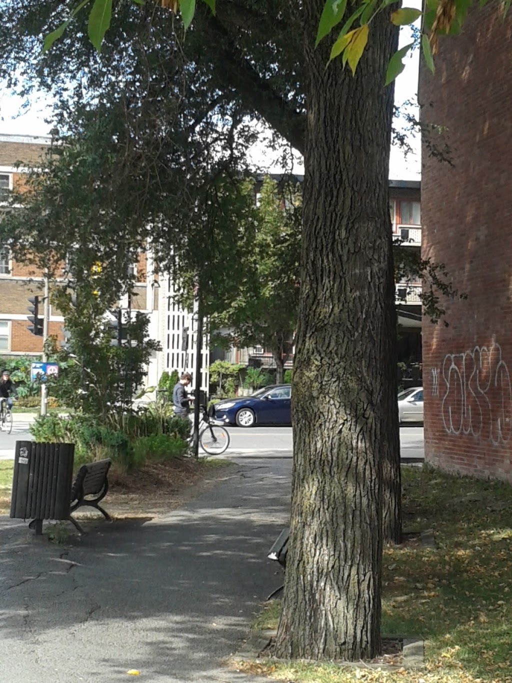 Parc J.-Z.-Léon-Patenaude | Rue Berri et, Rue Cherrier, Montréal, QC H2L 1H3, Canada | Phone: (514) 872-0311