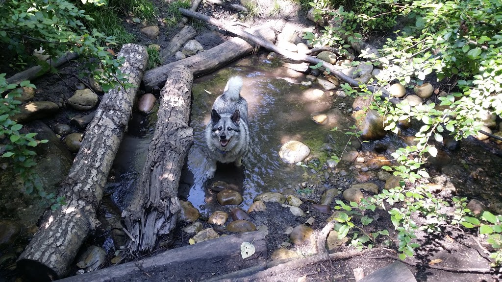 Shaganappi Off Leash Area | 1418 25a St SW, Calgary, AB T3C 1J8, Canada