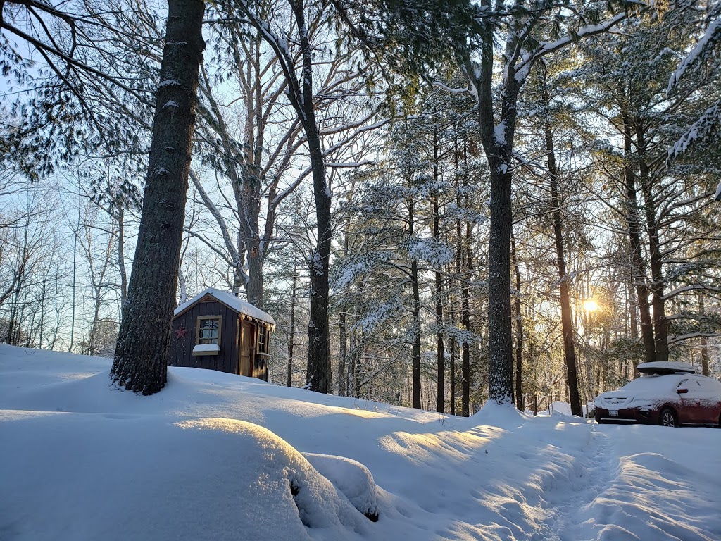 By & By Windermere Cabin | Village 2 Rd, Muskoka Lakes, ON P0B 1M0, Canada | Phone: (905) 599-6631