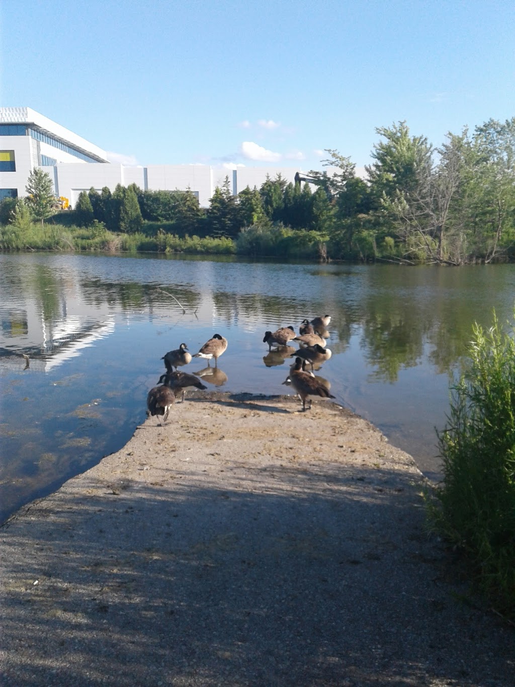 Ashton Meadows Park | 202 Calvert Rd, Markham, ON L6C 1T5, Canada