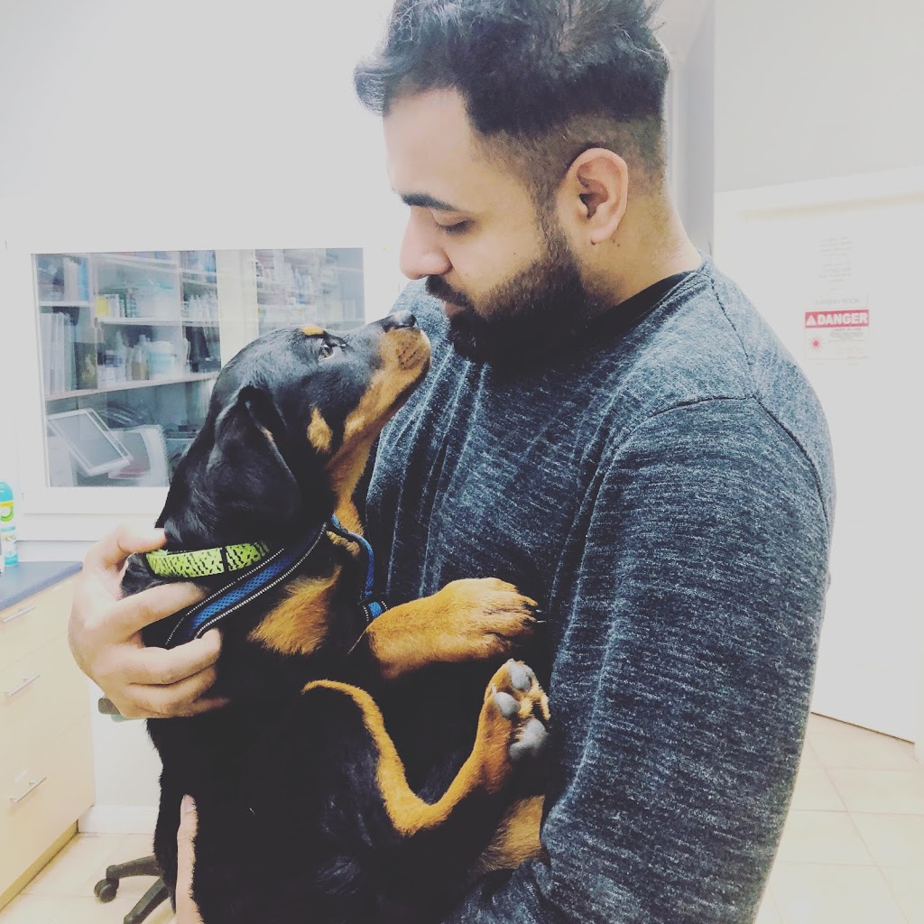 Norgate Animal Hospital | 1435 Marine Dr, North Vancouver, BC V7P 1T5, Canada | Phone: (604) 980-2222