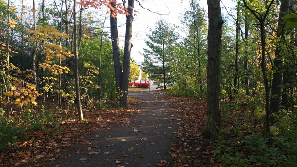 Silver Stream Park | 110 Shirley Dr, Richmond Hill, ON L4S 1Y7, Canada | Phone: (905) 771-8870
