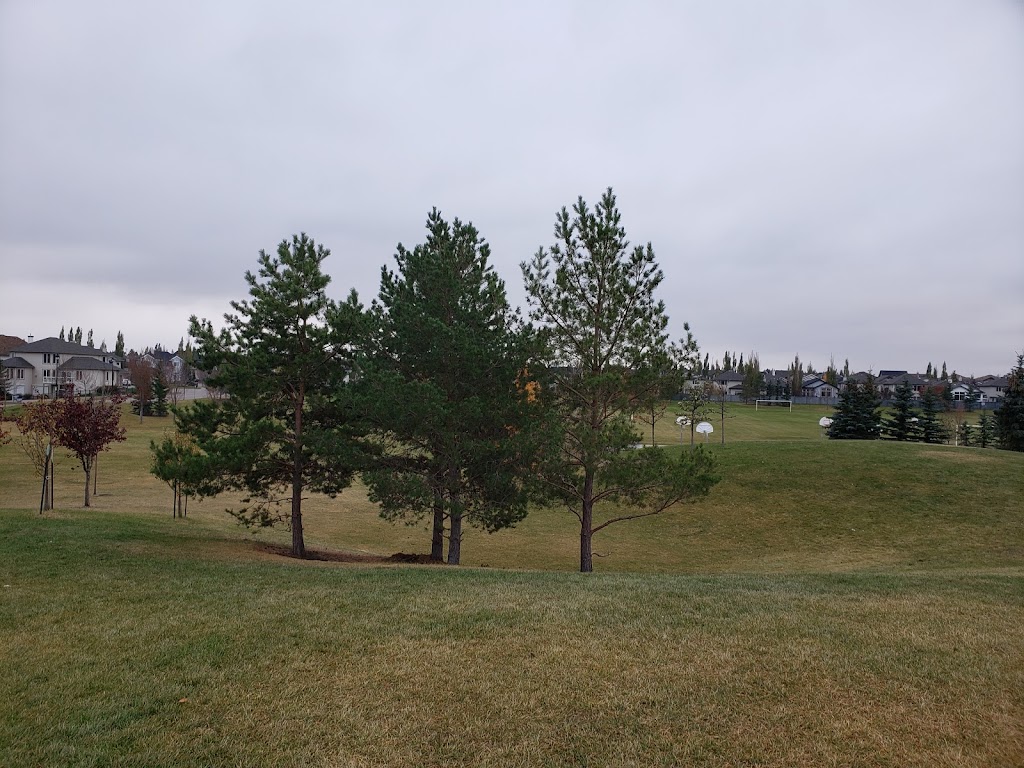 Blackmud Creek Playground | 2096 Blackmud Creek Dr SW, Edmonton, AB T6W 1J4, Canada | Phone: (780) 442-5311