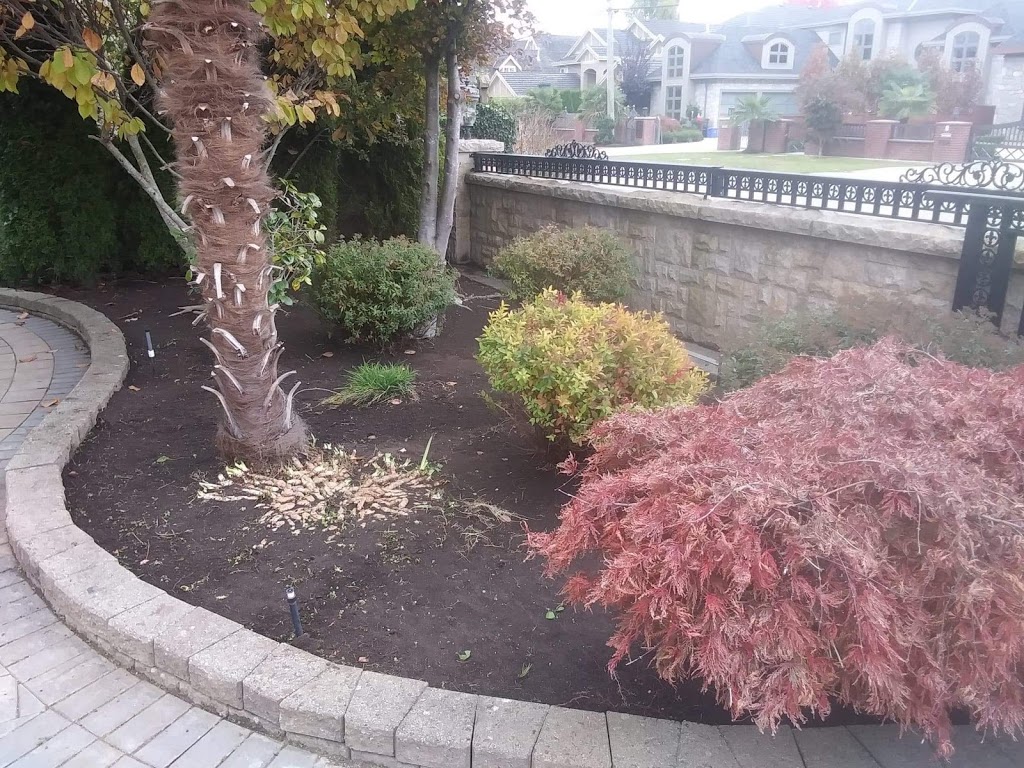 JTC LANDSCAPING | 7280 Lindsay Rd #107, Richmond, BC V7C 3M6, Canada | Phone: (604) 700-1339