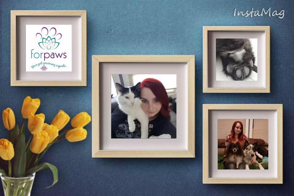 For Paws Studio 2 | 4601 61 Ave, Leduc, AB T9E 7A4, Canada | Phone: (780) 739-4985
