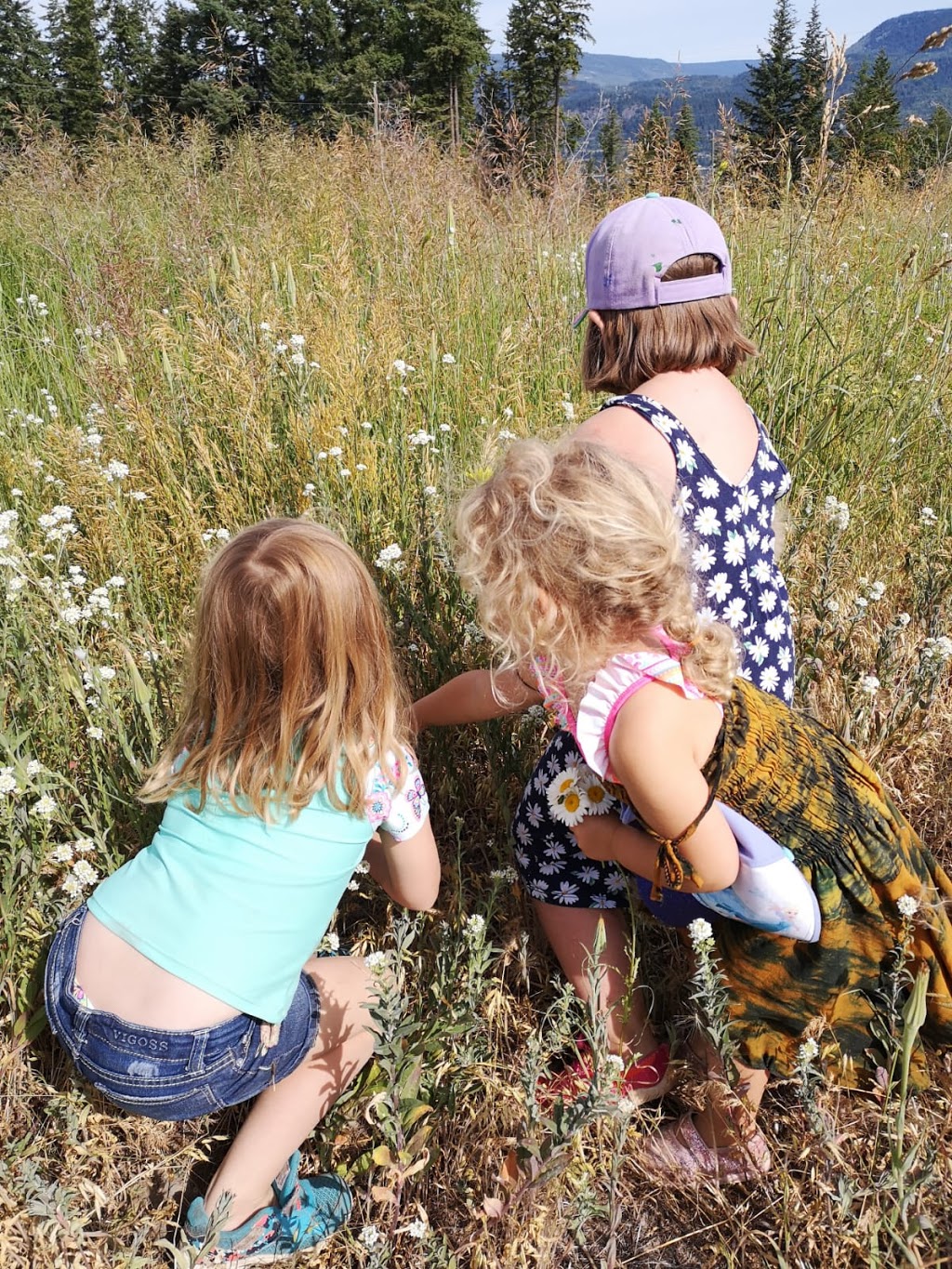 Blind Bay Munchkins Childcare Ltd. | 2570 Forest Dr, Blind Bay, BC V0E 1H2, Canada | Phone: (250) 803-2996