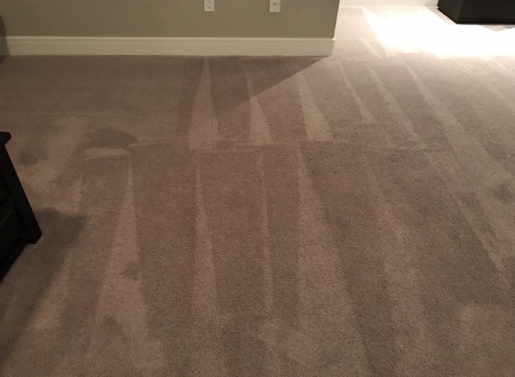 Everything Is Clean | 23 Everstone Rise SW, Calgary, AB T2Y 4M3, Canada | Phone: (403) 607-3616