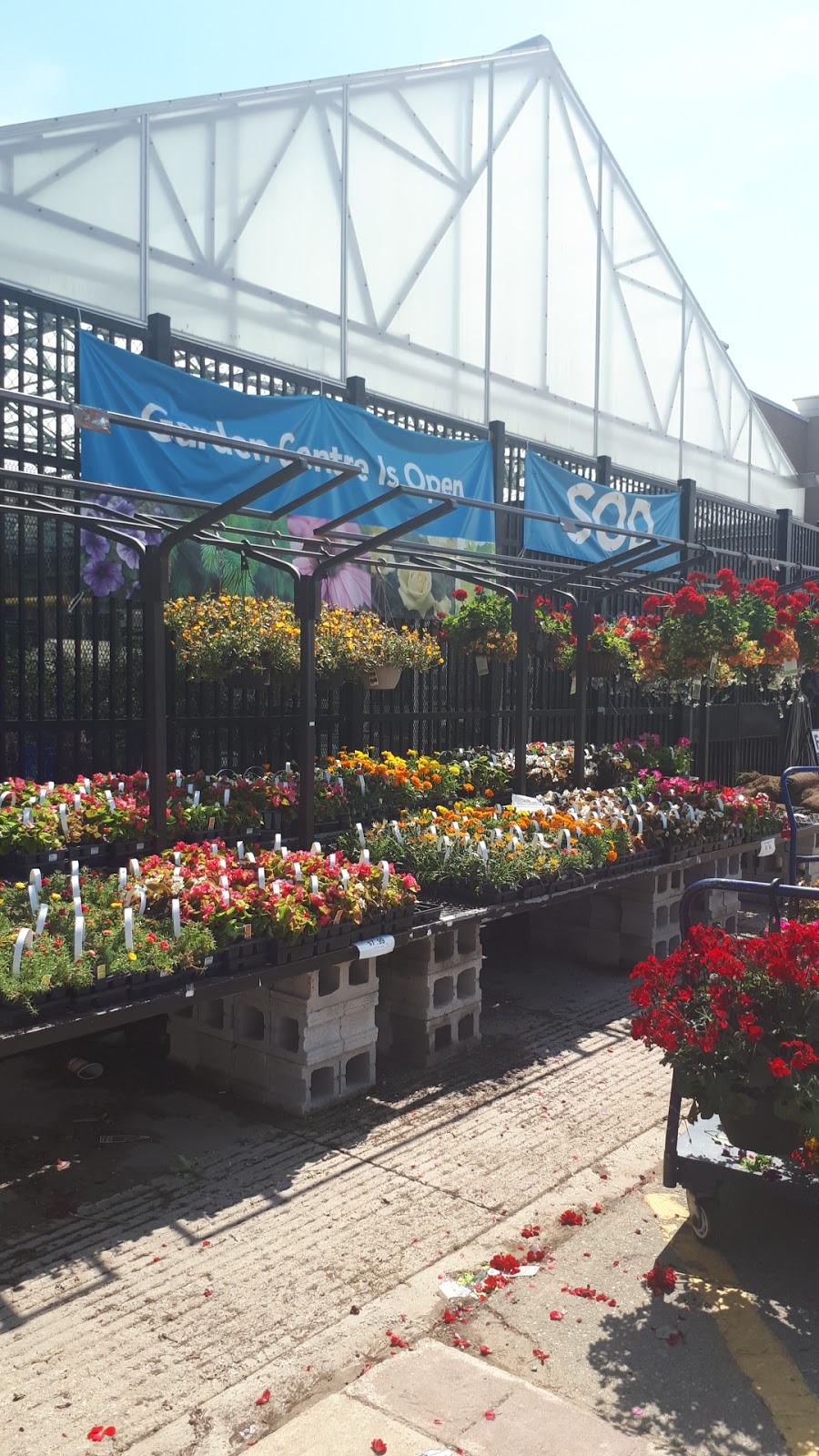 Lowes Garden Centre | 10111 Heart Lake Rd, Brampton, ON L6Z 0E4, Canada | Phone: (905) 843-4300