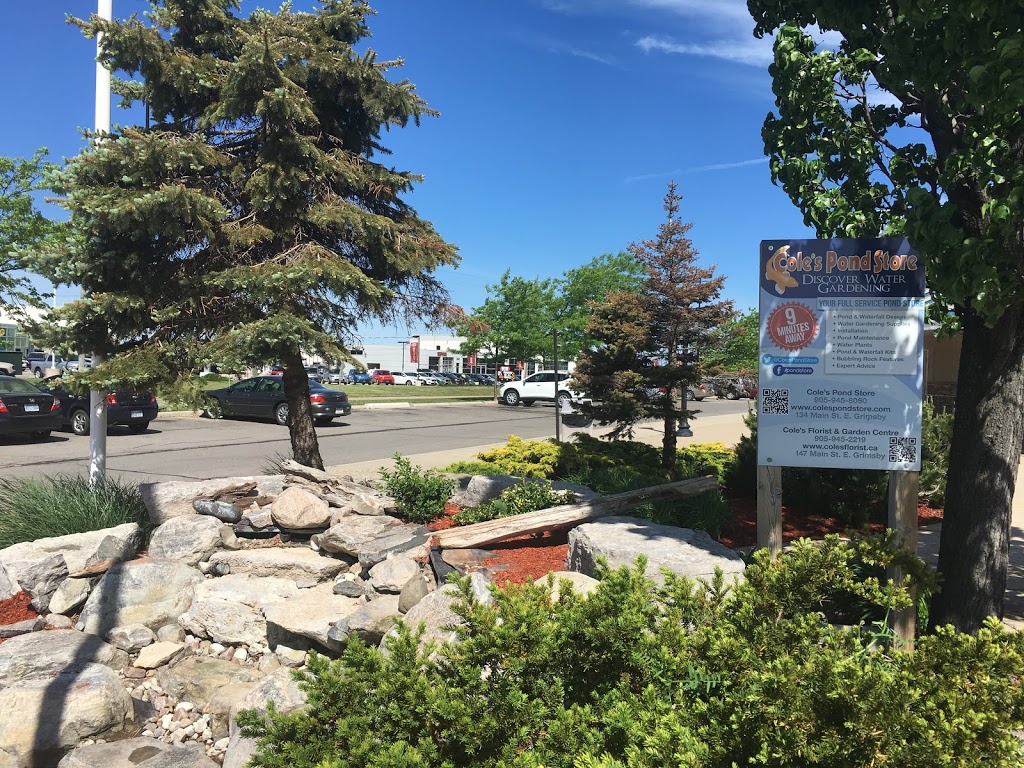 Grimsby Food Court Ltd | 424 S Service Rd, Grimsby, ON L3M 4E8, Canada | Phone: (905) 309-7188