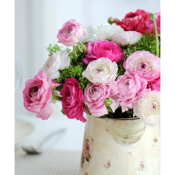 Quispamsis Flowers | 12 Andrew Crescent, Rothesay, NB E2S 1A8, Canada | Phone: (877) 713-7848
