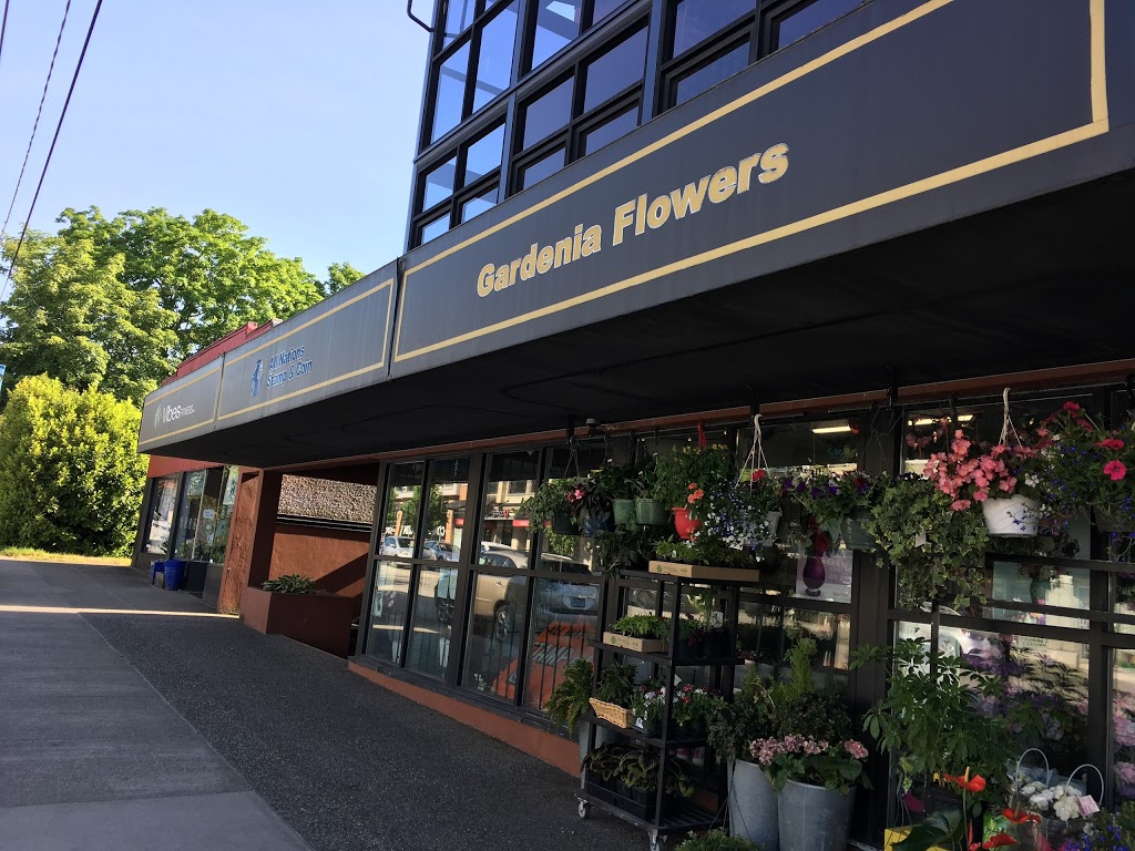 All Nations Stamp and Coin | 5630 Dunbar St, Vancouver, BC V6N 1W7, Canada | Phone: (604) 684-4613