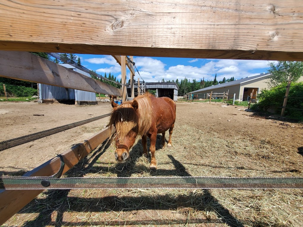 Ranch LaDouceur | 6250 Chemin du 10e Rang, Sainte-Agathe-des-Monts, QC J8C 0N6, Canada | Phone: (819) 321-1329