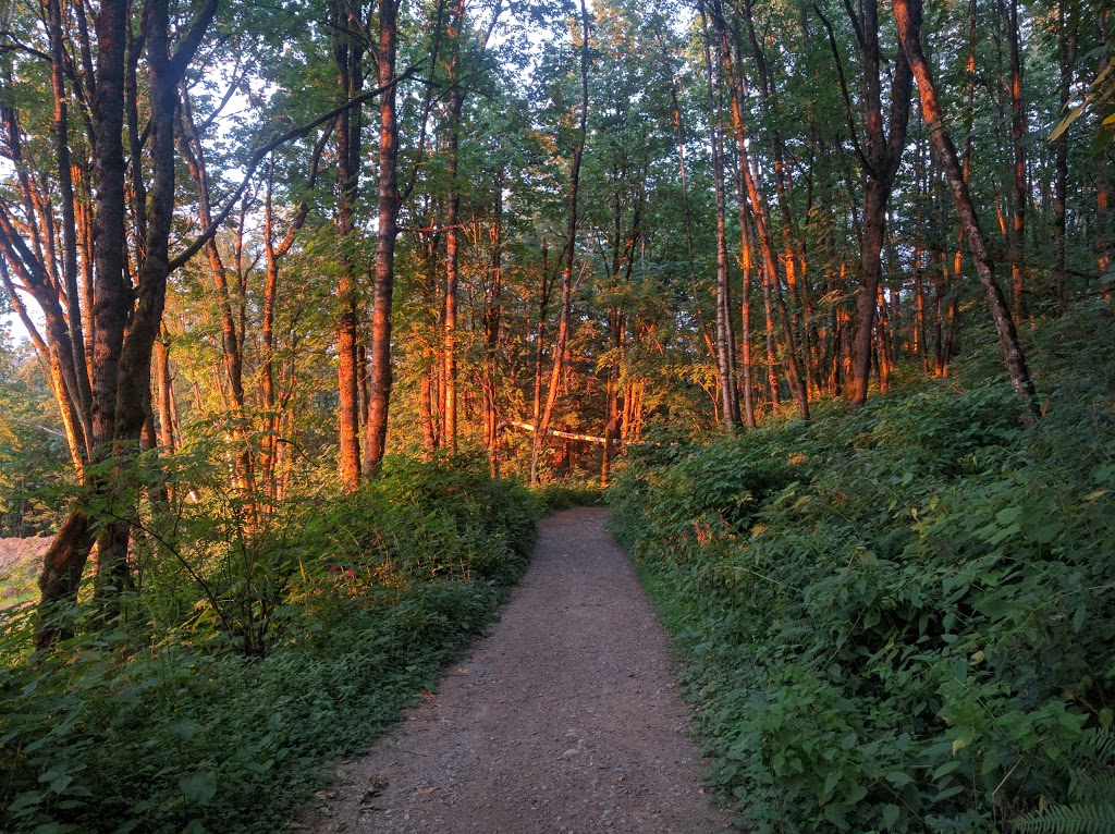 Ledgeview trail parking | 36099 McKee Rd, Abbotsford, BC V3G 2L6, Canada