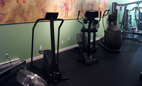 Whibs Gym | 1217 Shuswap Ave, Sicamous, BC V0E 2V0, Canada | Phone: (800) 208-9244