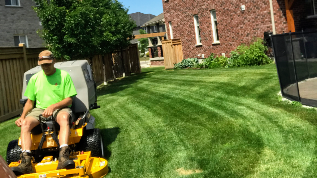 Collingwood MK Lawn Care | 114 Katherine St, Collingwood, ON L9Y 3R5, Canada | Phone: (705) 441-2747