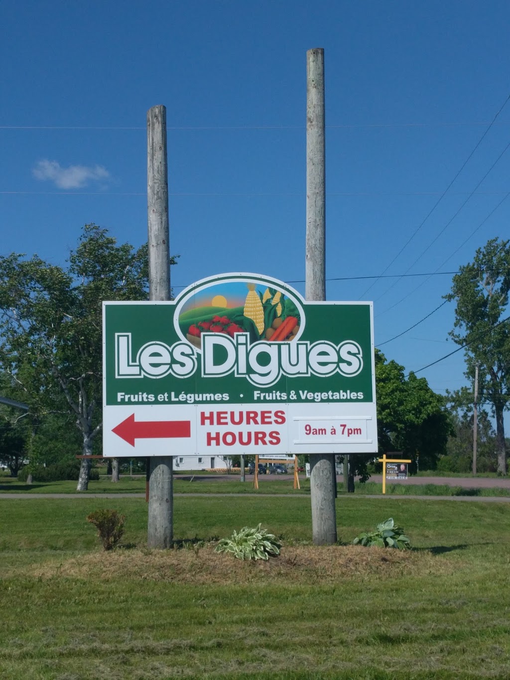 Les Digues: Fruits And Vegetables | 449 NB-530, Grande-Digue, NB E4R 5E1, Canada | Phone: (506) 532-9301