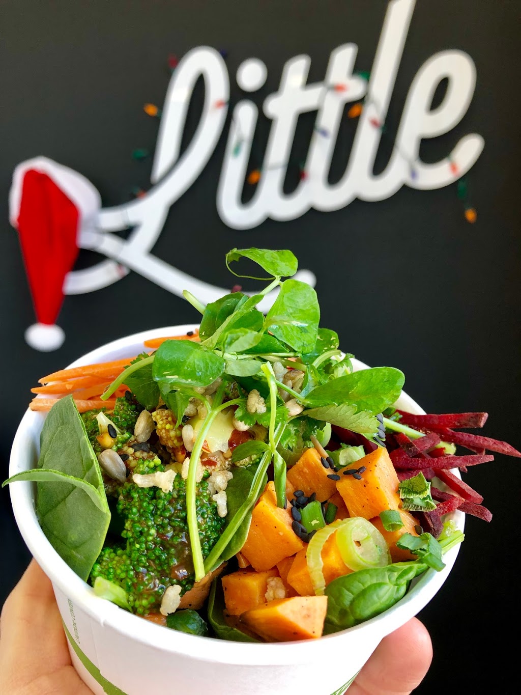 Little Fast + Fresh | 44 Riverside Gate #204, Okotoks, AB T1S 0J2, Canada | Phone: (403) 938-0118