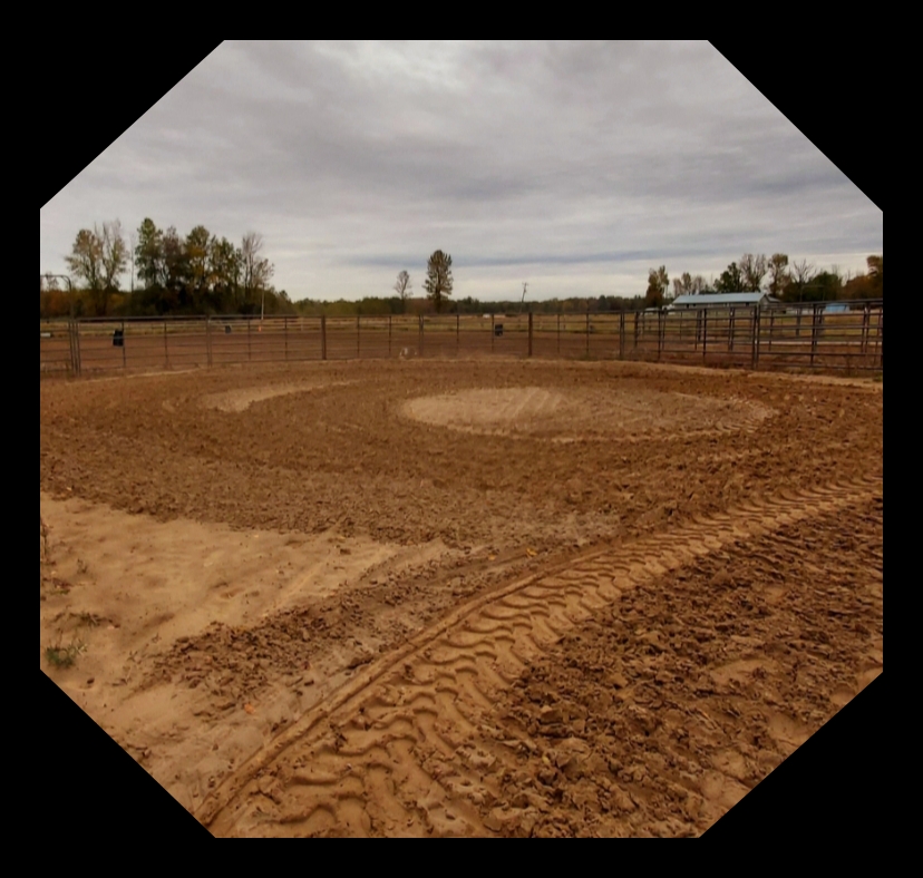Sherwood Farms | 4419 Kilkenny Rd, Lyn, ON K0E 1M0, Canada | Phone: (613) 556-0466