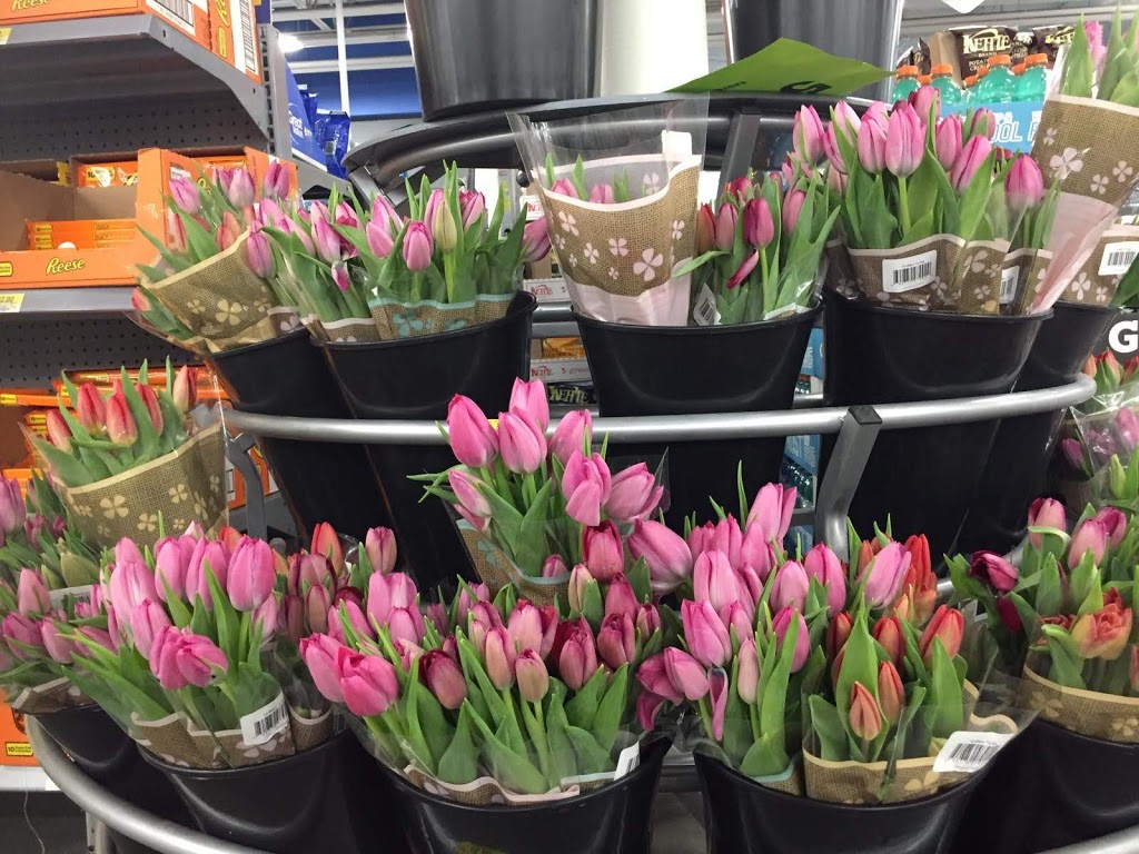 Walmart Mississauga Dixie Supercentre | 1500 Dundas St E, Mississauga, ON L4X 1L4, Canada | Phone: (905) 615-1018