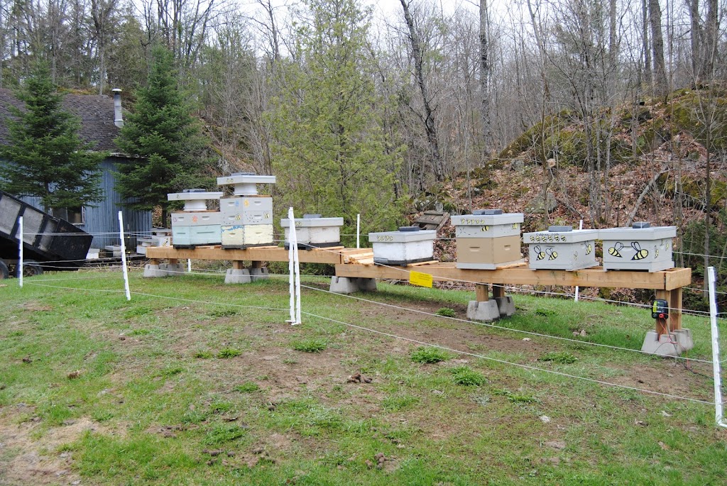 For The Bees Farm | 1055 Hwy 124, Whitestone, ON P0A 1G0, Canada | Phone: (705) 389-3310