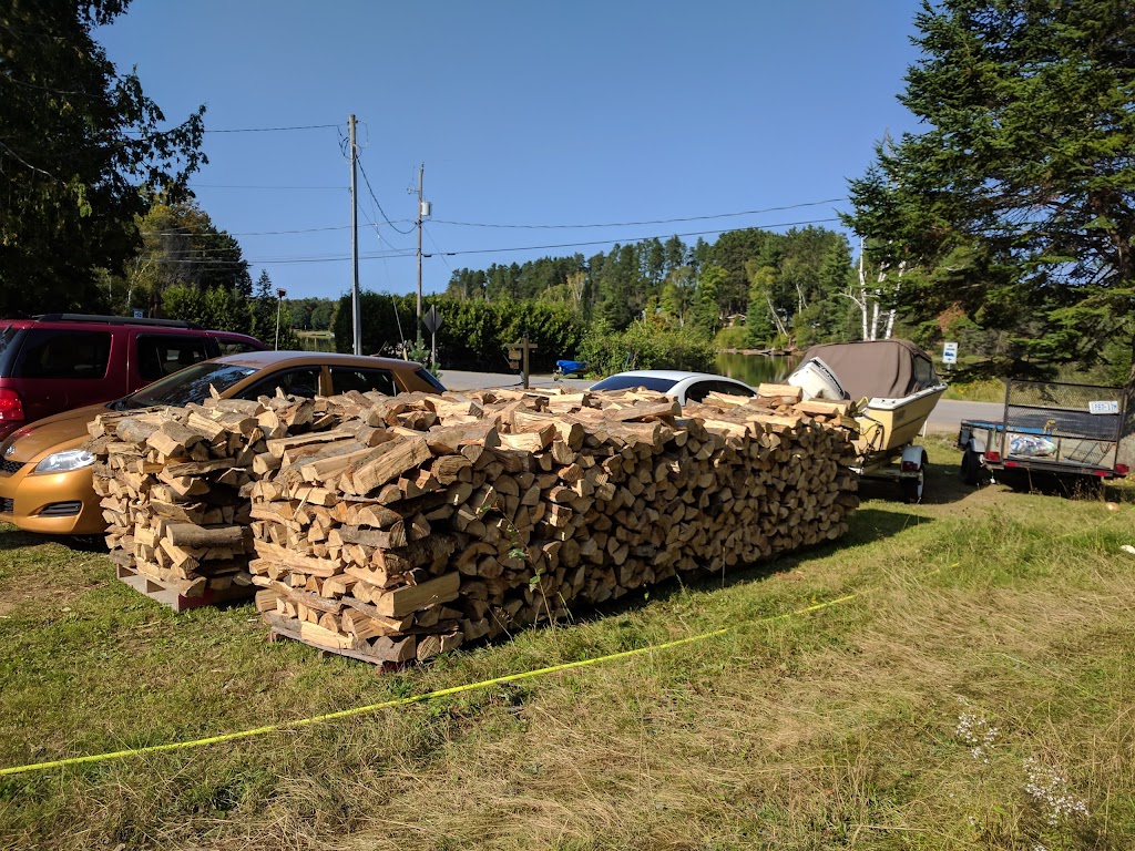 Grace River Getaway | 1041 Burleigh Rd, Wilberforce, ON K0L 3C0, Canada | Phone: (437) 998-5150