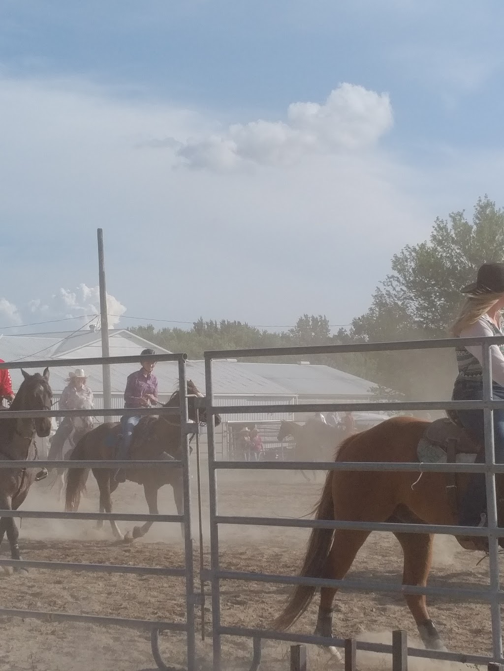 Calhoun Stables | 1590 Durant Rd, Breslau, ON N0B 1M0, Canada | Phone: (519) 664-0636