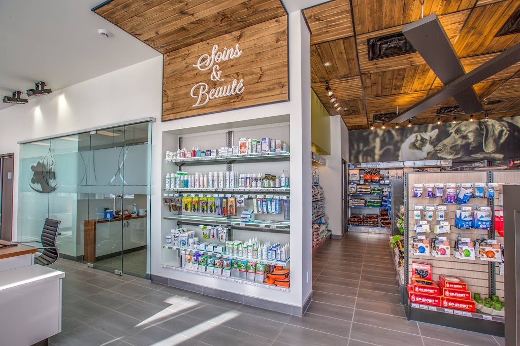 Clinique Vétérinaire Donnacona | 439 QC-138, Donnacona, QC G3M 0A9, Canada | Phone: (418) 285-0473