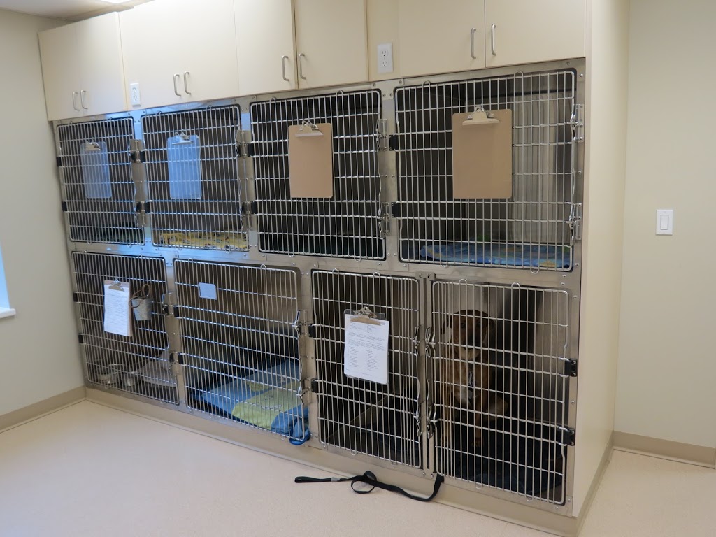 Paris Veterinary Clinic | 321 Grand River St N, Paris, ON N3L 2N9, Canada | Phone: (519) 442-2522