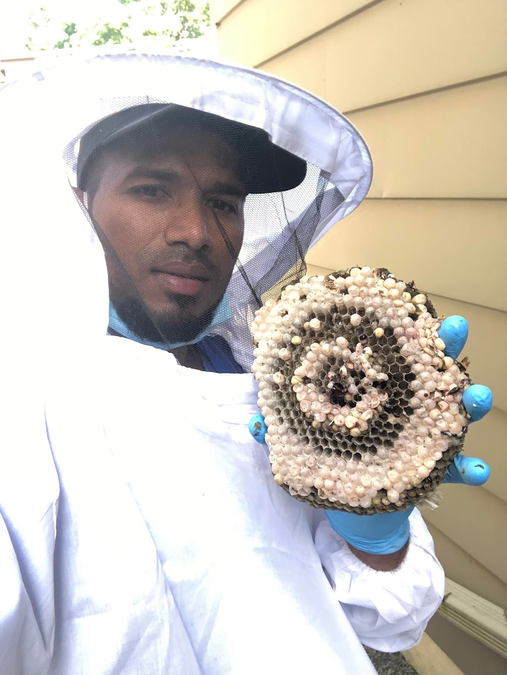 Insight Pest Solutions | 1000 Windmill Rd Unit 4A, Dartmouth, NS B3B 1L7, Canada | Phone: (855) 489-3640