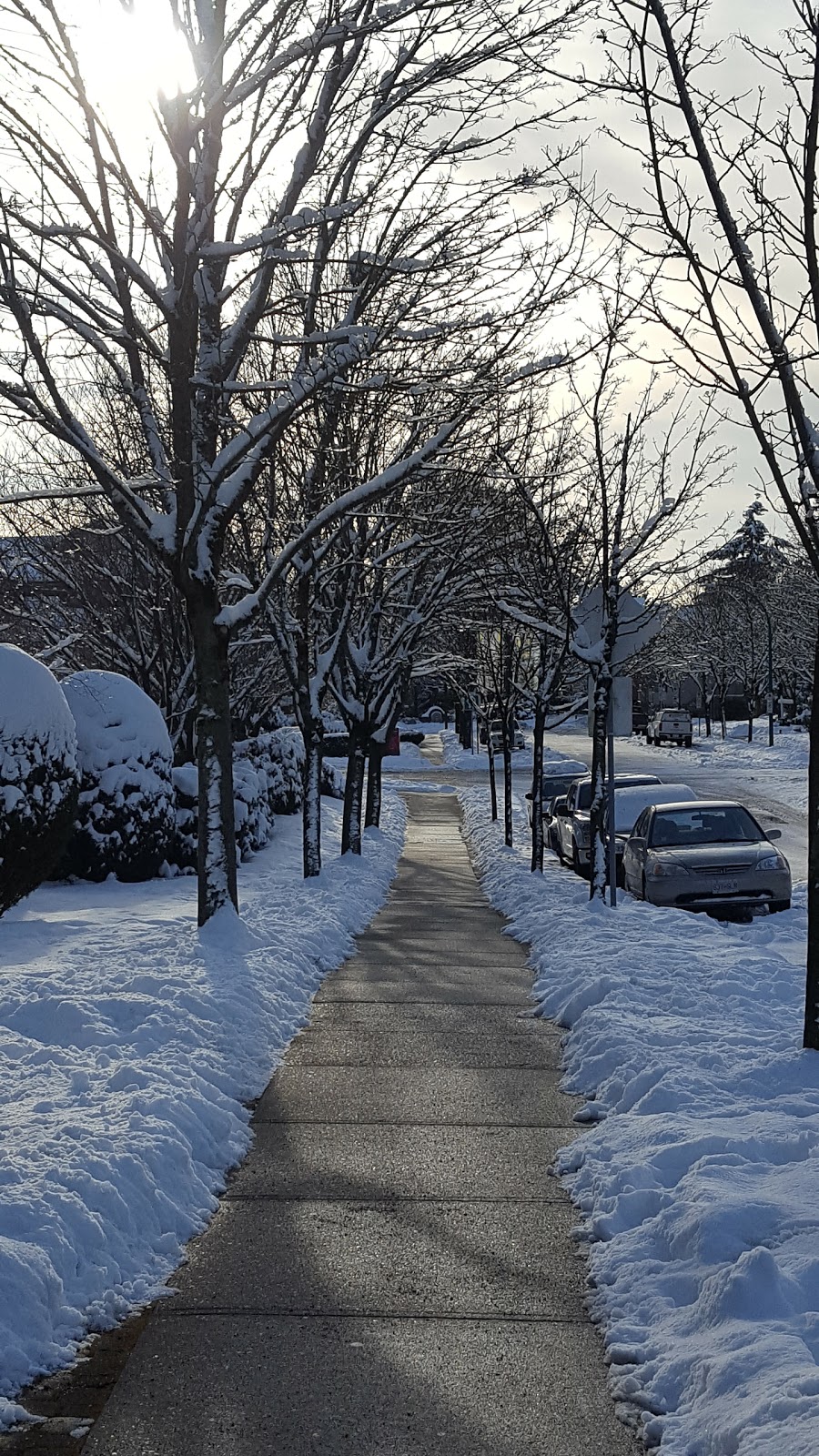 City in the Park | 6828-6888 Station Hill Dr, Burnaby, BC V3N 5A4, Canada