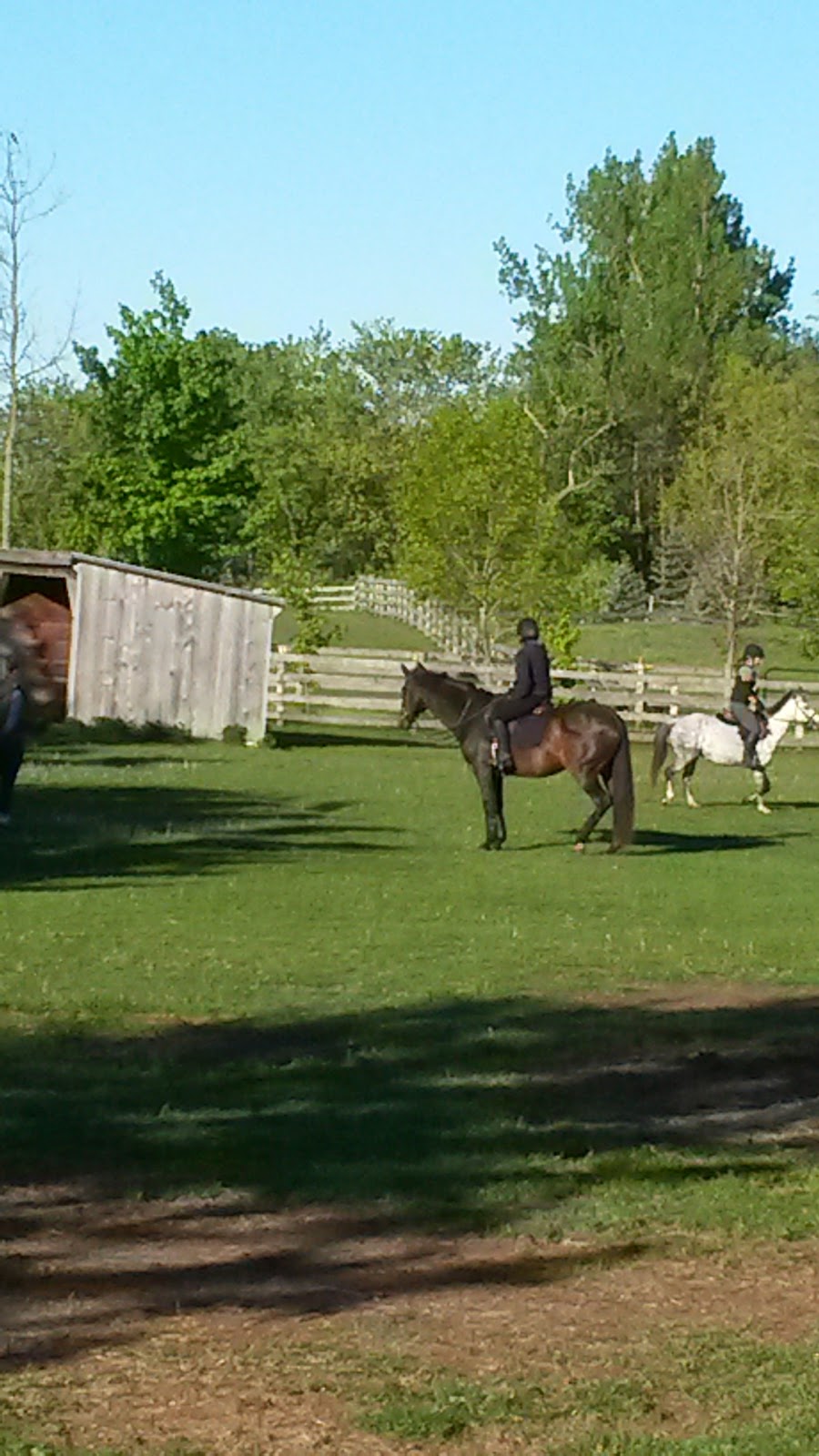 Stone House Farm Sales | 20511 Heart Lake Rd, Caledon Village, ON L7K 2A8, Canada | Phone: (416) 697-7792