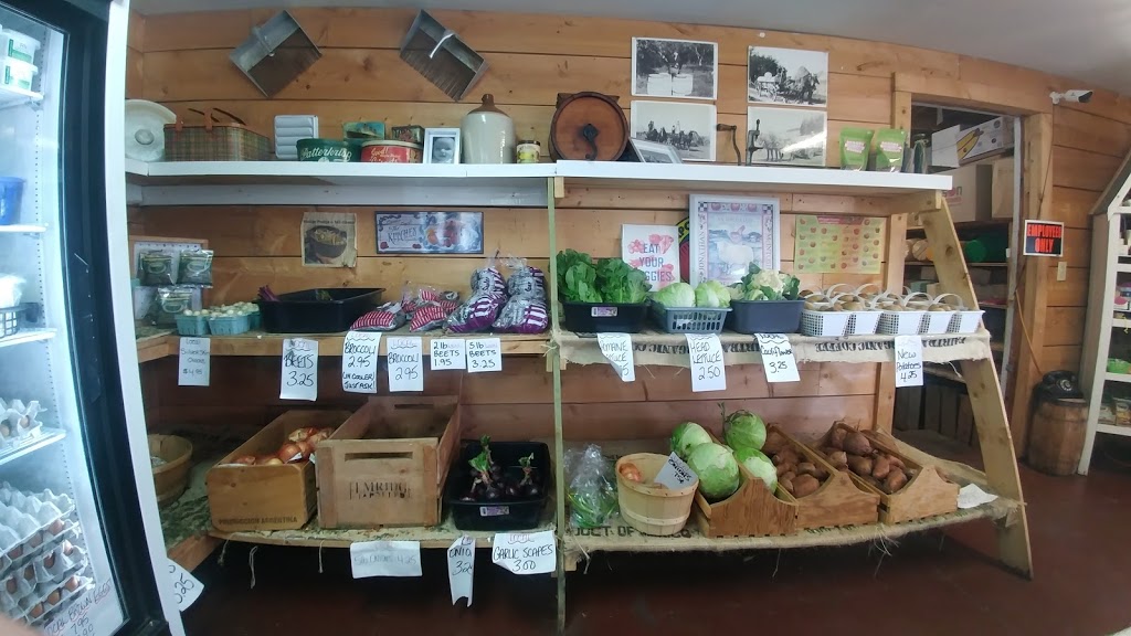 Falmouth Fruit & Vegetable Company | Nova Scotia Trunk 1, Falmouth, NS B0P 1L0, Canada | Phone: (902) 798-0200