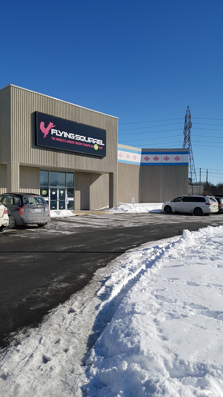 Flying Squirrel Ottawa | 1901 Cyrville Rd, Ottawa, ON K1B 1A9, Canada | Phone: (343) 883-1092