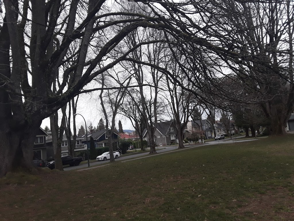 Braemer Park | 895 W 27th Ave, Vancouver, BC V5Z 2G8, Canada | Phone: (604) 873-7000
