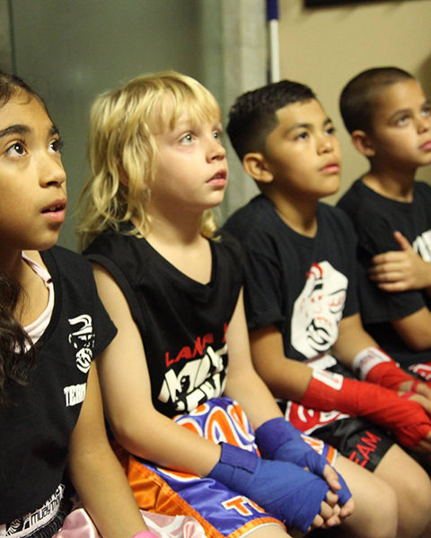 Lanna MMA | 3625 Weston Rd Unit 1 2, North York, ON M9L 1V9, Canada | Phone: (416) 740-2352