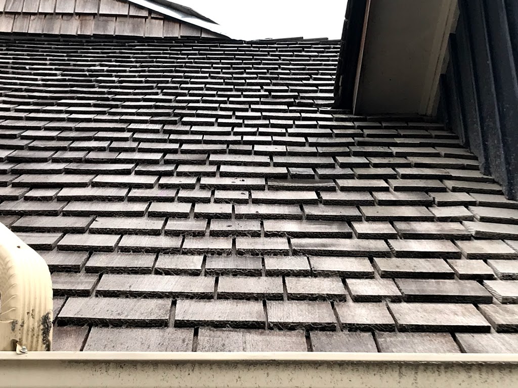 Testarossa Roofing | 8 Wilson Crescent, Elora, ON N0B 1S0, Canada | Phone: (519) 400-3840