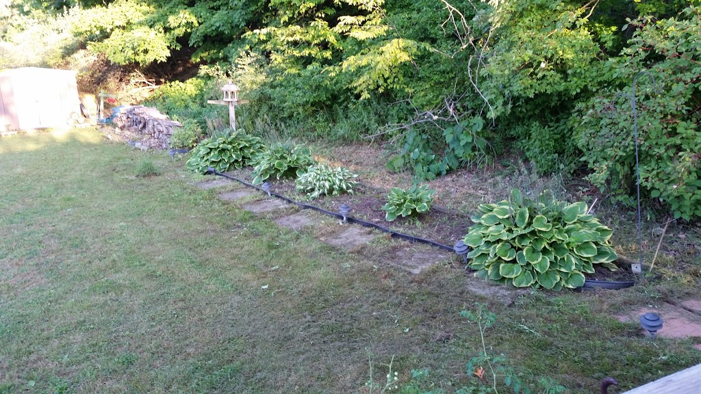 Byng Island Conservation Area | 4969 County Road 20, Dunnville, ON N1A 2W8, Canada | Phone: (905) 774-5755