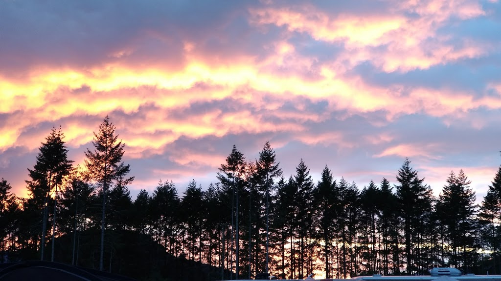 Laketown Ranch Music & Recreation Park | 8811 Youbou Rd #648, Lake Cowichan, BC V0R 2G1, Canada | Phone: (250) 715-1600