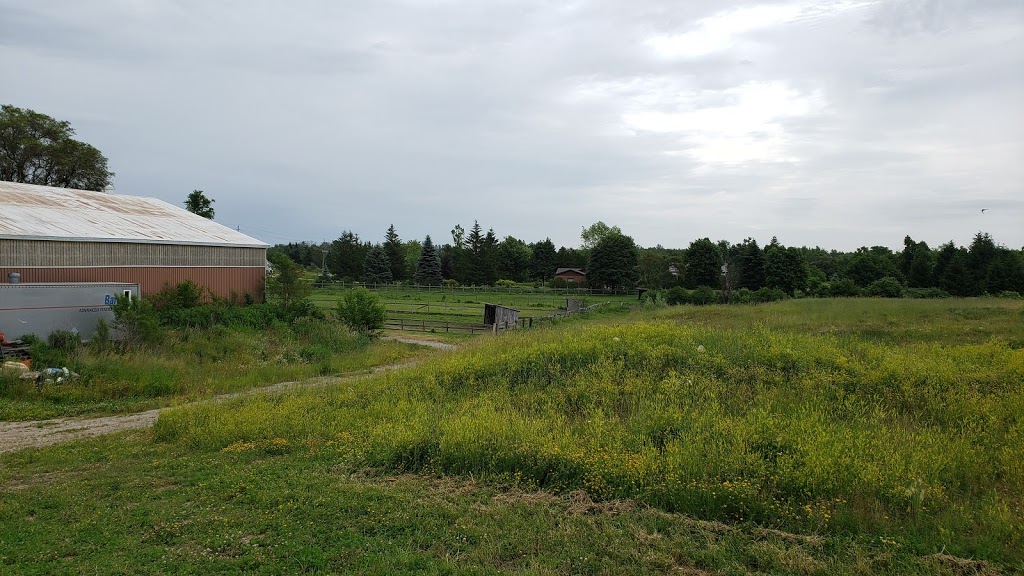 Roberts Equine Stables | 4006 ON-6, Puslinch, ON N0B 2J0, Canada | Phone: (905) 961-2404
