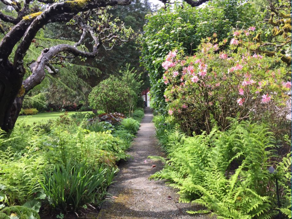 JN Landscaping Ltd. | 11435 Hawthorne Pl, North Saanich, BC V8L 5J7, Canada | Phone: (250) 888-9267