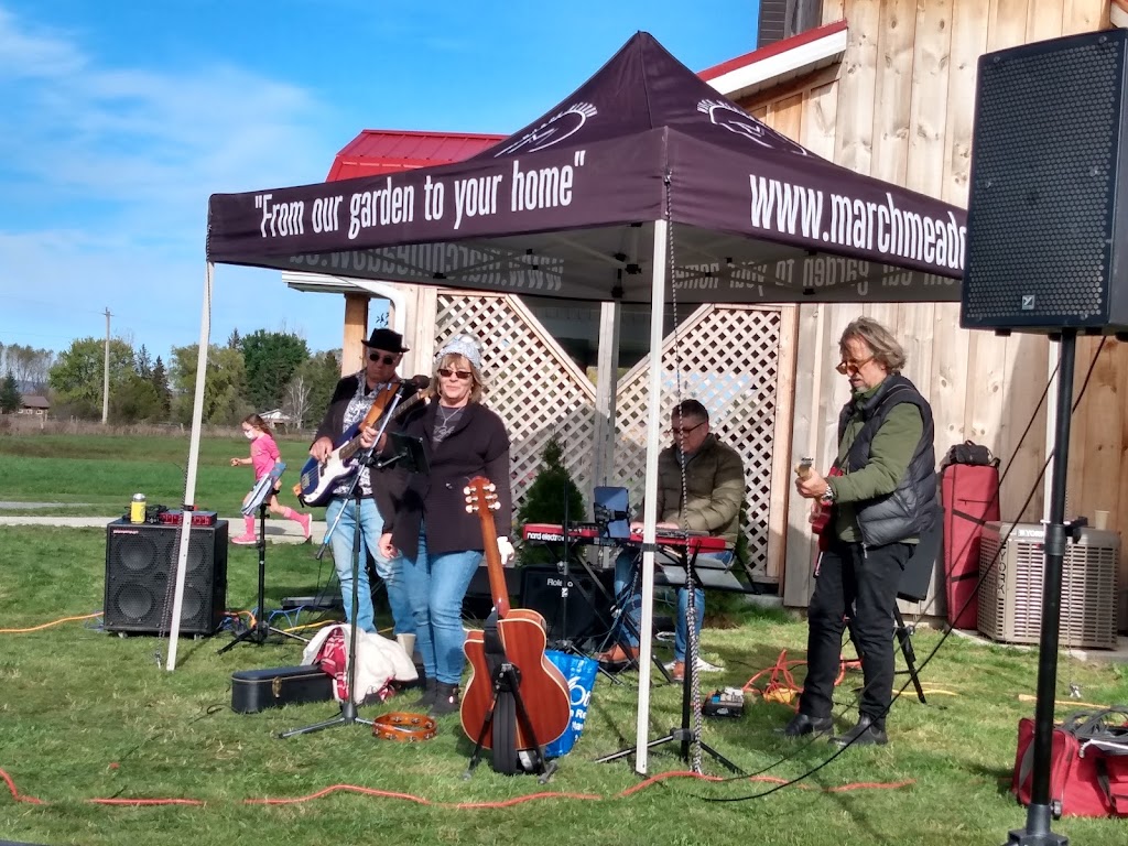The Knight Tones | 8316 Corlyon St, Metcalfe, ON K0A 2P0, Canada | Phone: (613) 668-7896