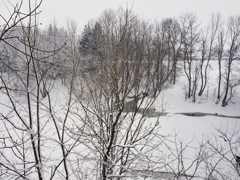 Terrain municipale - Saint-Roch-Ouest | 270 QC-125, Saint-Roch-de-lAchigan, QC J0K 3H0, Canada | Phone: (450) 588-6060