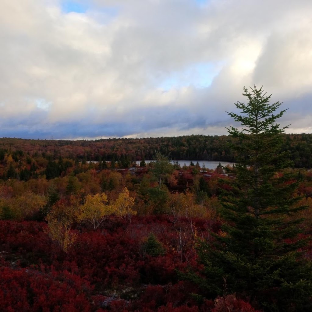 The Bluff Wilderness Hiking Trail | 2890 St Margarets Bay Rd, Timberlea, NS B3T 1H4, Canada | Phone: (902) 876-7377