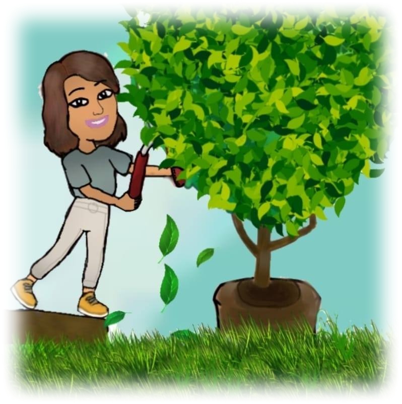 The Gardening Lady | 37 Brookdale Crescent, Whitby, ON L1P 1J4, Canada | Phone: (416) 788-1974
