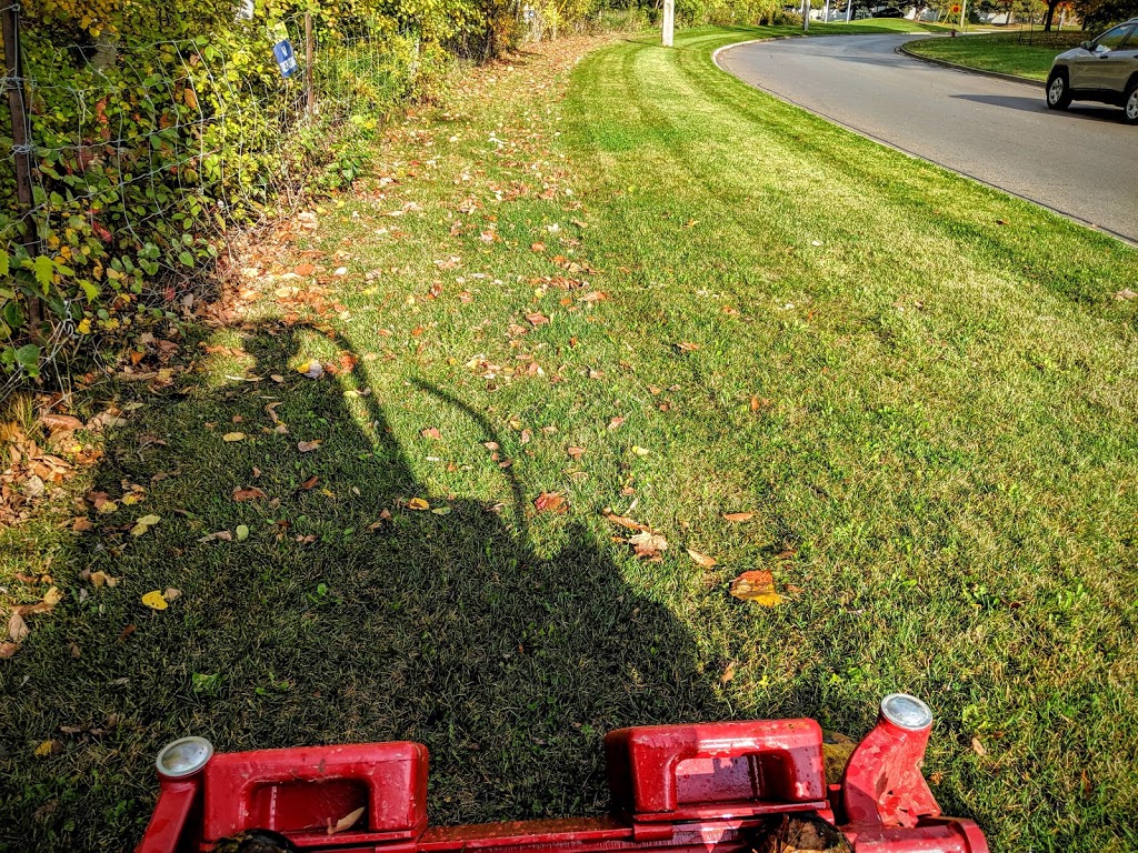 Vida Landscape Solutions | 4585 Palladium Way Unit 3049, Burlington, ON L7M 0W9, Canada | Phone: (905) 531-1945