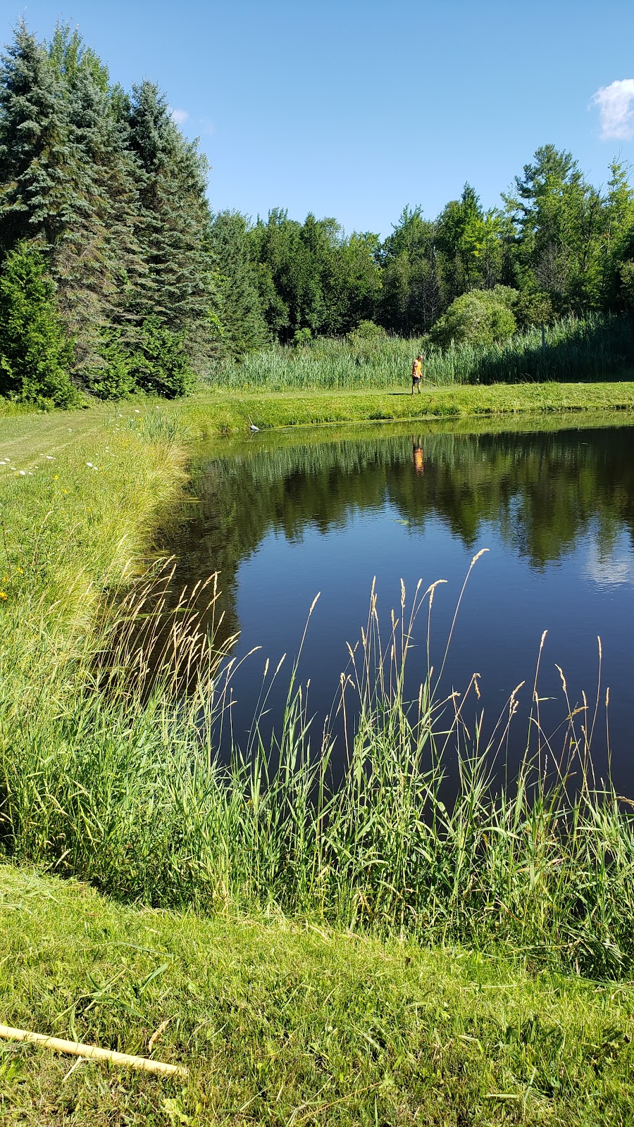 Crew Cut Property Maintenance Inc | 152 Lakeview Rd, Newcastle, ON L1B 1C8, Canada | Phone: (905) 809-5604